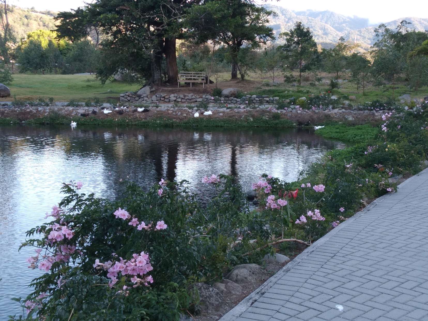 Boquete - Park by the River